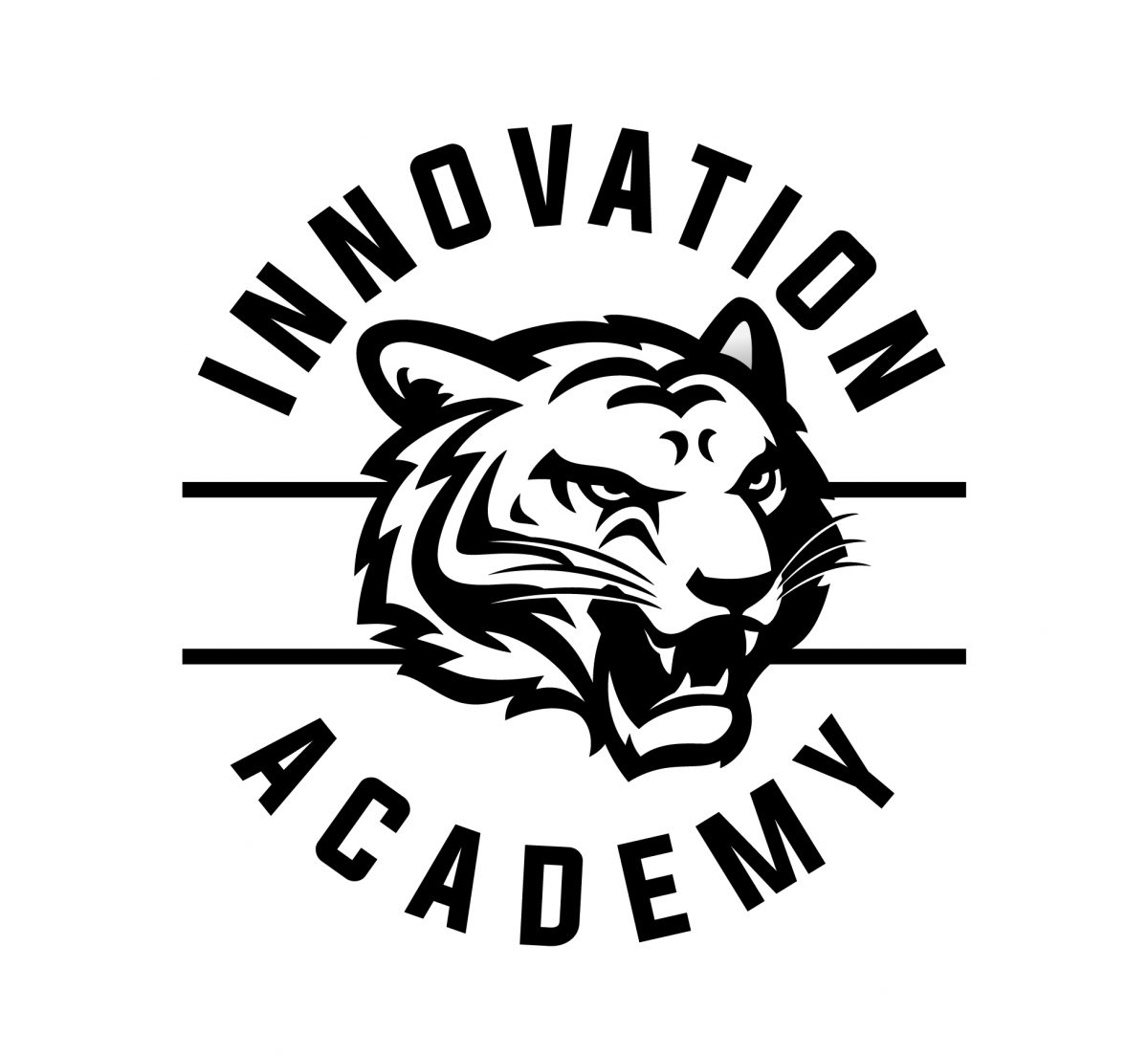 Innovation academy medford school district